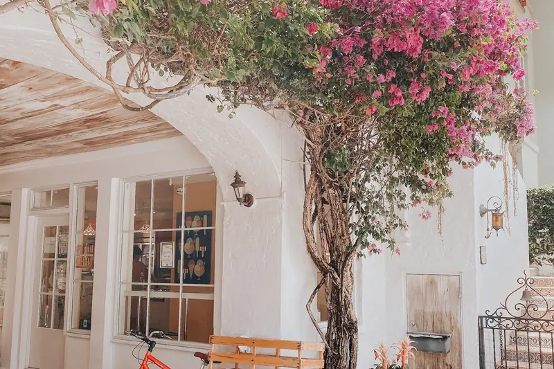 MICHELIN Guide Restaurants in West Palm Beach and Palm Beach (2026)