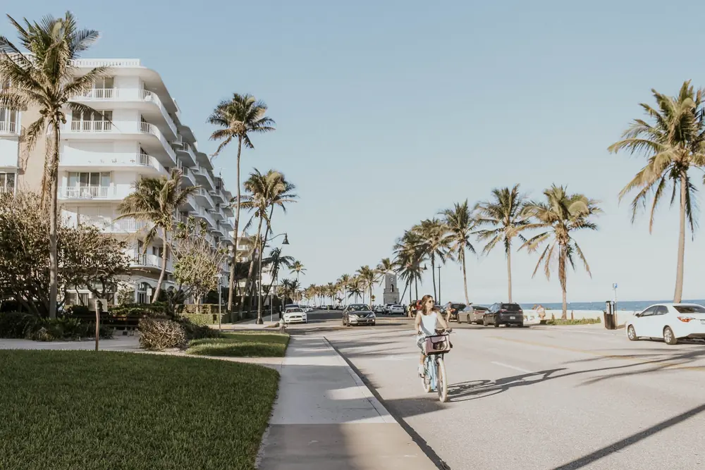 Palm-lined path near the water in the Palm Beaches